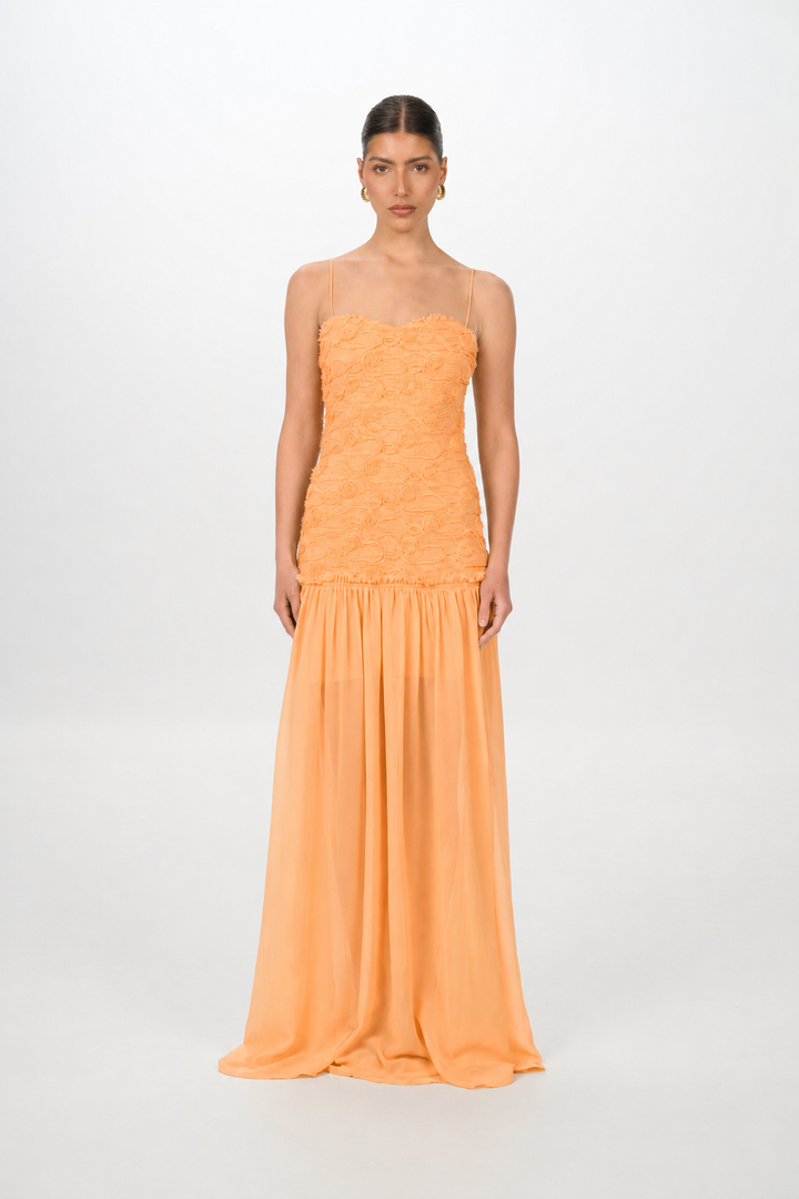 RENATA | APRICOT